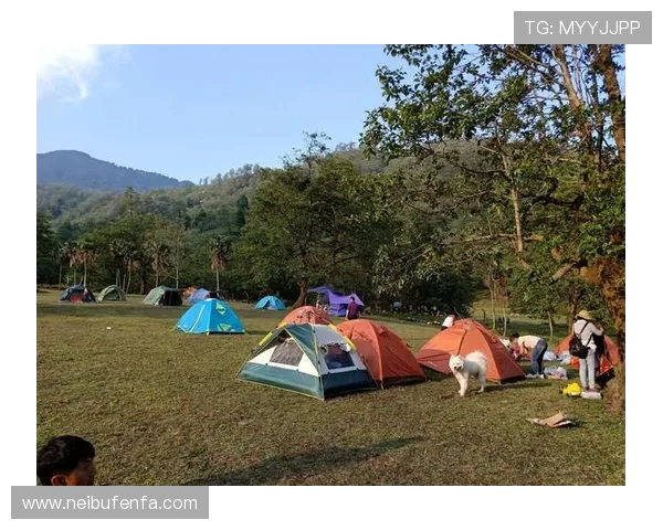 凯发色碟：改善投影色彩偏差，打造真实自然画面的关键设备