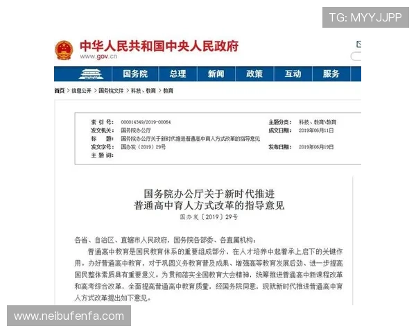 新2体育：新手指南，快速上手新2体育平台的操作流程与使用技巧