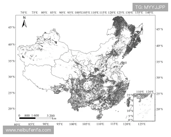公海网上赌船对青少年网络安全的潜在威胁分析