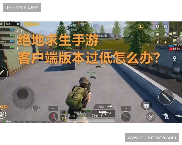 pabg手游国际服与国内版本的区别与优势全面比较分析